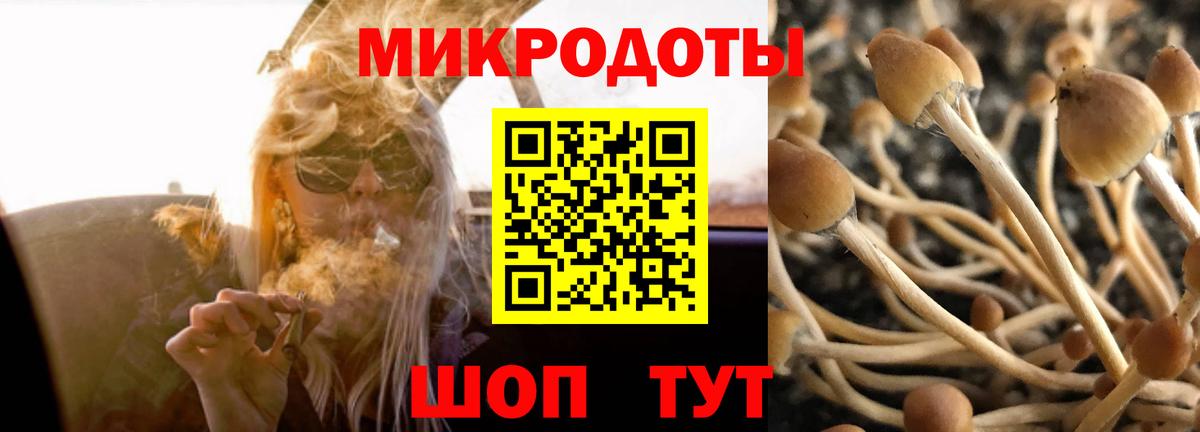 Елец  Галлюциногенные грибы мицелий  Вход с VPN 